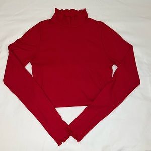 Hollister Turtleneck